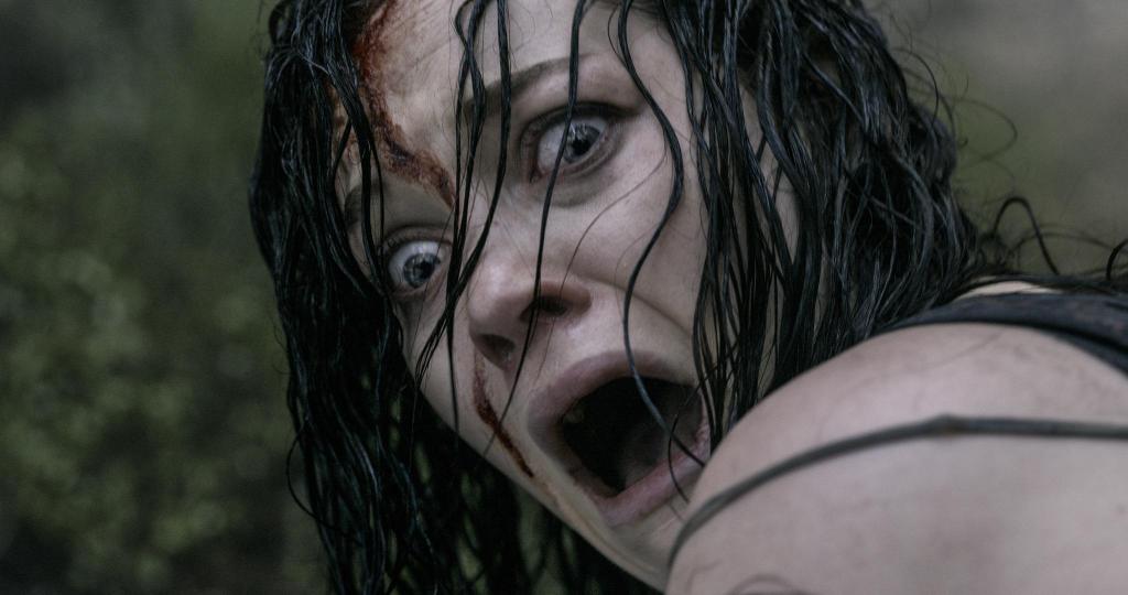 EVIL DEAD 2013 de Fede Alvarez