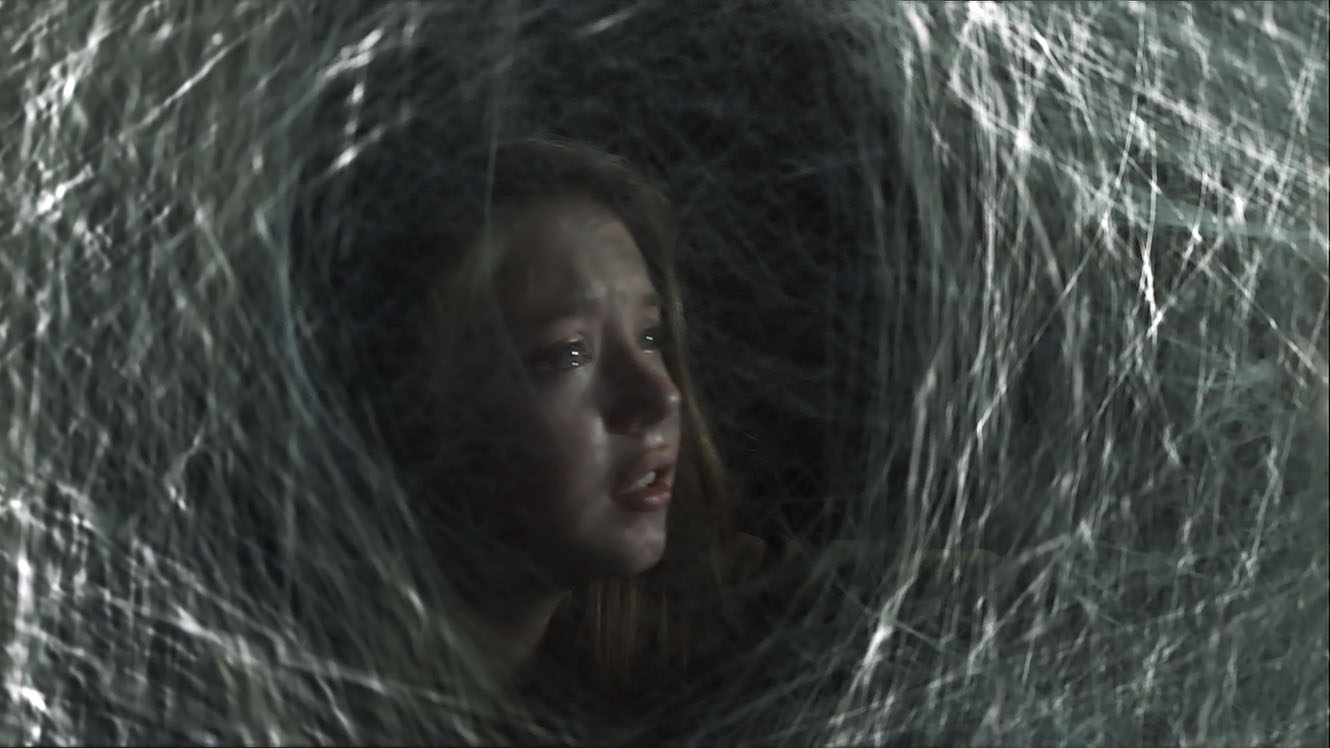 SPIDERS 3D de Tibor Takacs