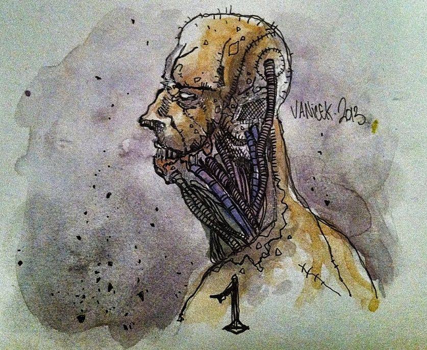 FER de Sébastien Vanicek