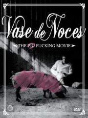 Image dvd Vase de Noces