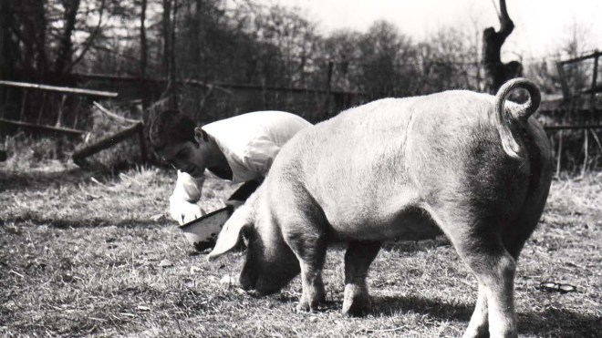 Image Vase de Noces 1