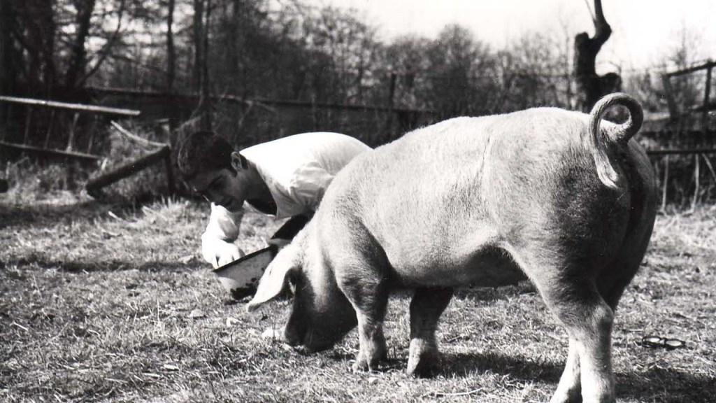 [Be Kind Rewind] VASE DE NOCES de Thierry Zéno&nbsp;(1974)