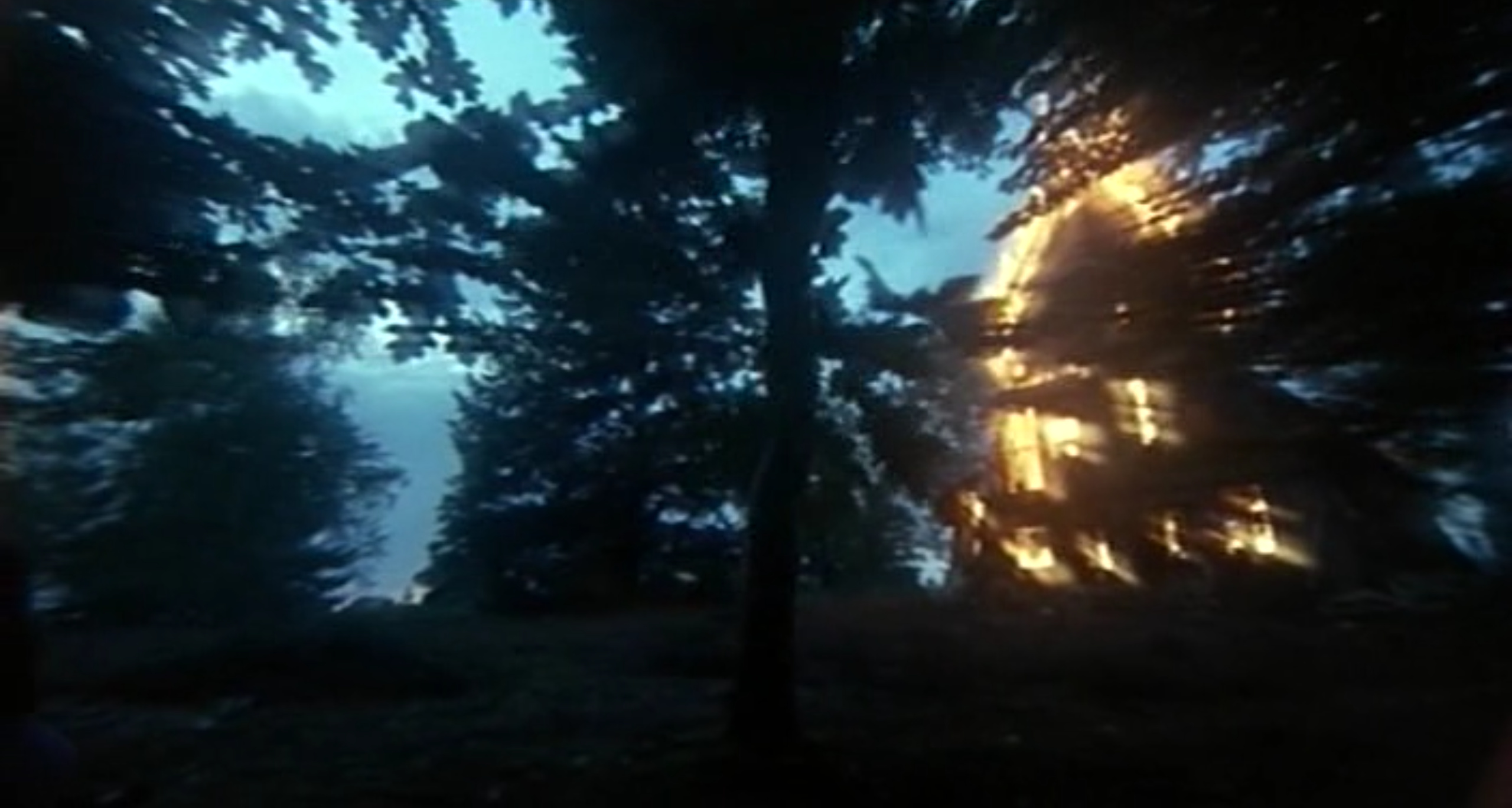 Le Coeur Fou Image 2.png