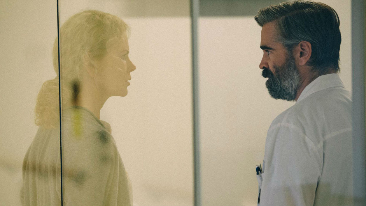 160cb02519c06205019d92fe21