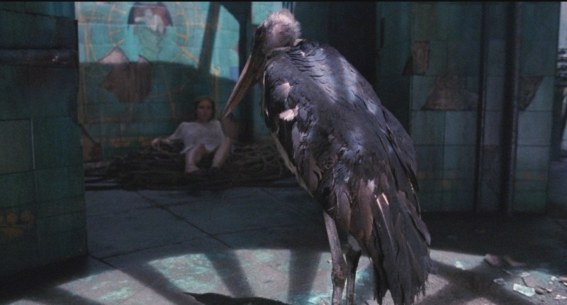 la-secte-dvd-bluray- (5)