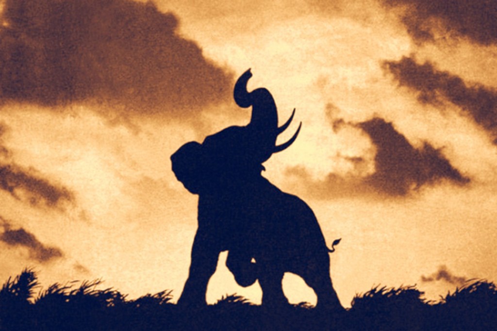 [Be Kind Rewind] L&rsquo;Étrange Festival 2024 : TUSK d&rsquo;Alejandro Jodorowsky&nbsp;(1980)