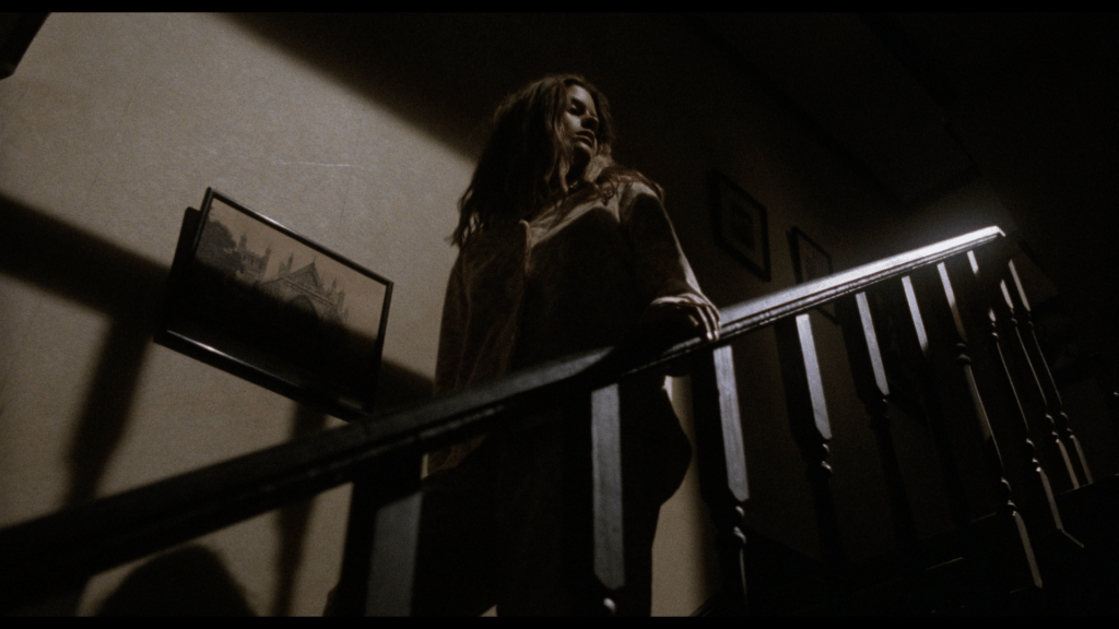 Actus | Concours : deux exemplaires du film LE CRI DES TÉNÈBRES à gagner avec Rimini Editions