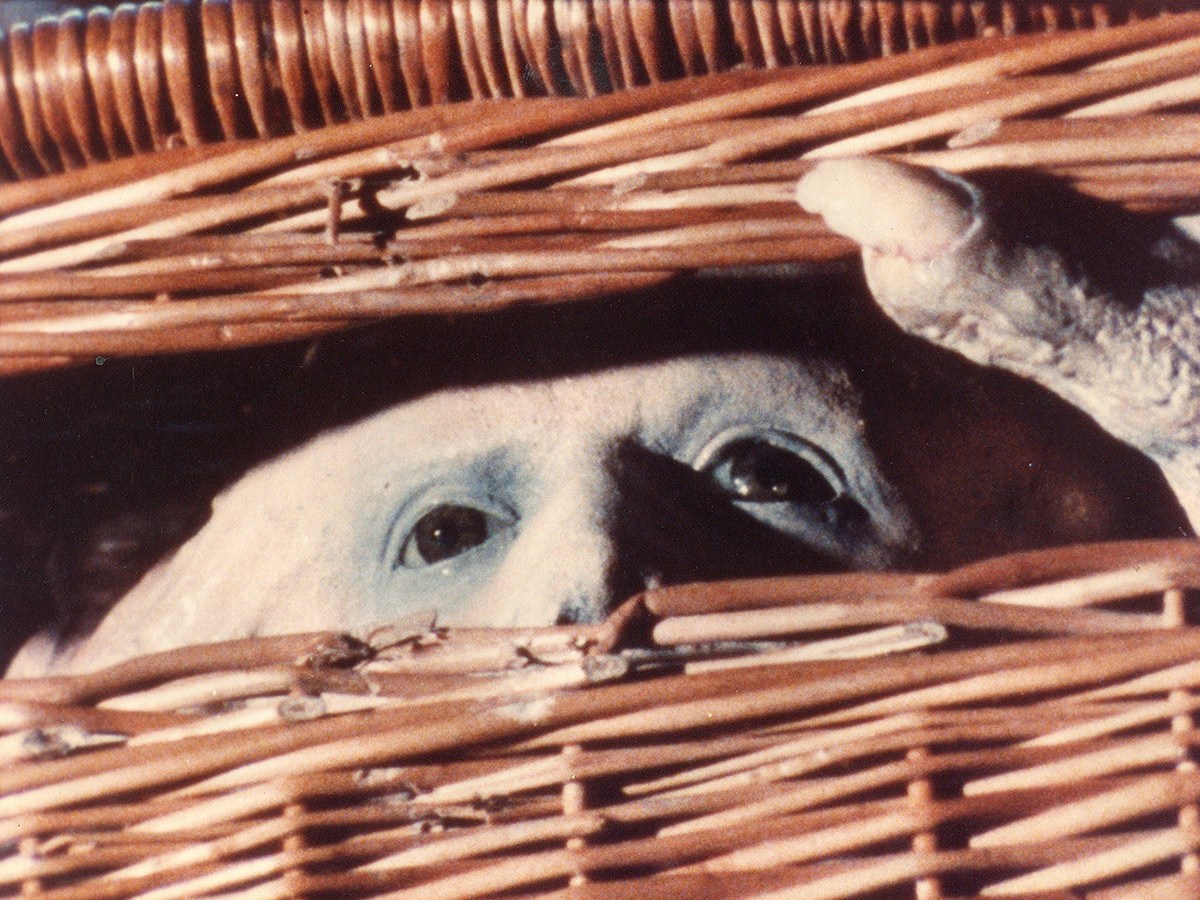 Roman | BASKET CASE d&rsquo;Armando&nbsp;Munoz